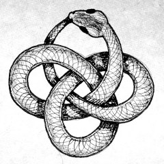 snake knot