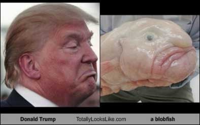 blobfish