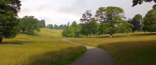 cardiff and the
                  vale natural burial meadow