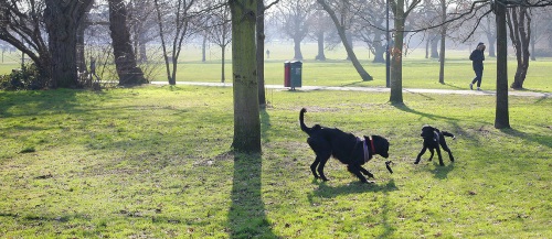 wandsworth common