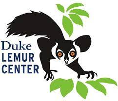 Duke lemur
          centre