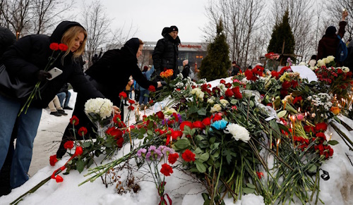 flowers
          laid in snow