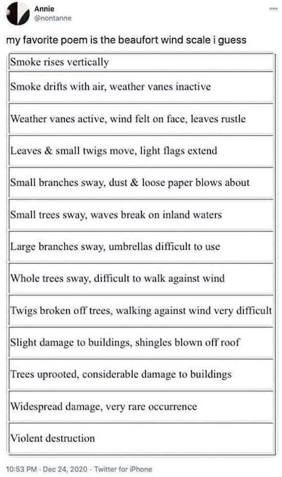 beaufort
        scale