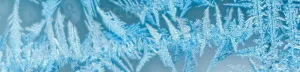 frosty