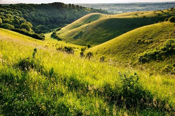 landscape,
          with bumlike contours