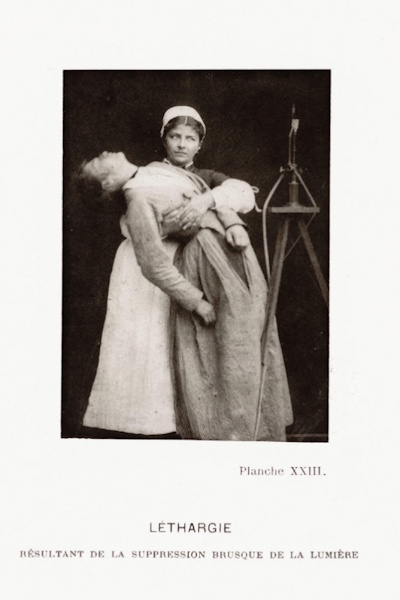 Plate XXIII