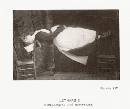 Plate XIV